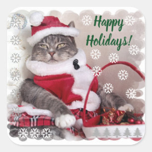 Sticker Carré Joyeuses fêtes ! purr... de jolie chatte.