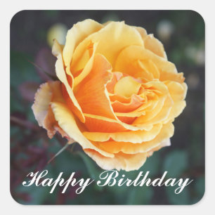 Sticker Carré Joyeux Anniversaire À propos de Face Rose #3 Stick