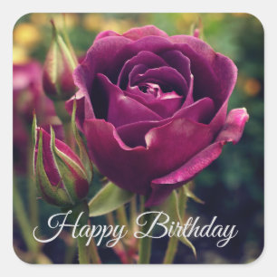 Sticker Carré Joyeux Anniversaire Bourgogne Rose Iceberg #1 Stic