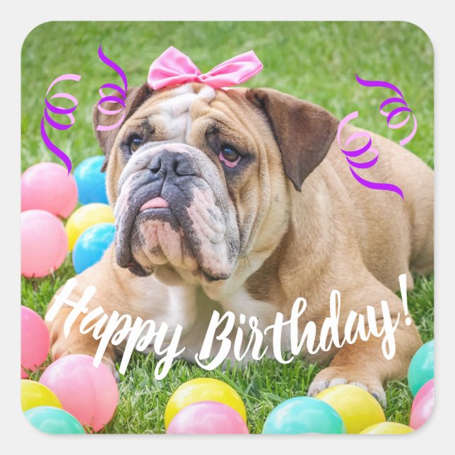 Sticker Carré Joyeux anniversaire de bouledogue mignon (Devant)