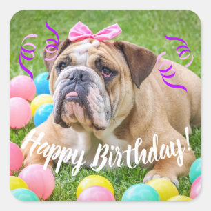 Sticker Carré Joyeux anniversaire de bouledogue mignon
