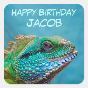 Sticker Carré Joyeux anniversaire Iguana
