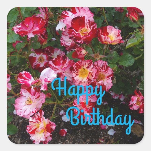 Sticker Carré Joyeux Anniversaire Quart de Juillet Rose #1 Stick (Devant)