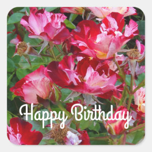 Sticker Carré Joyeux anniversaire Quart de juillet Rose #2 Autoc