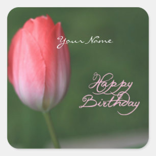 Sticker Carré joyeux anniversaire tulipe rouge fleur