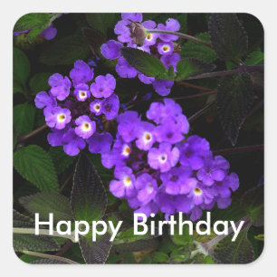 Sticker Carré Joyeux Anniversaire Violet Trailing Lantana #1 Sti