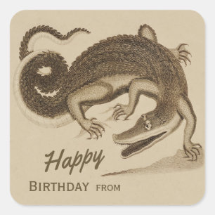 Sticker Carré Joyeux anniversaire Wild joyeux crocodile CC0892