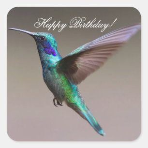 Sticker Carré Joyeux colibri d'anniversaire