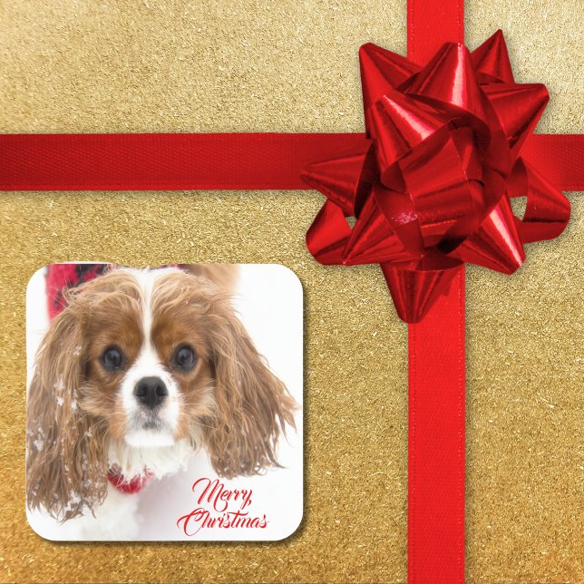 Sticker Carré Joyeux Noël Cavalier King Charles enneigé (Créateur téléchargé)