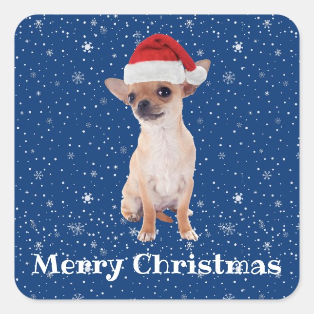 Sticker Carré Joyeux Noël Cute Chihuahua Père Noël 2 (Devant)