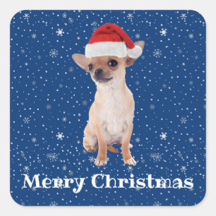 Sticker Carré Joyeux Noël Cute Chihuahua Père Noël 2