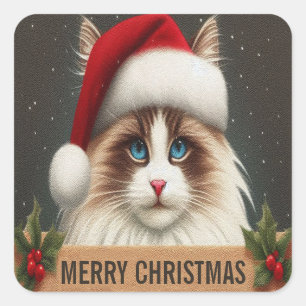 Sticker Carré Joyeux Noël Ragdoll Chat, Xmas Père Noël Ragdoll