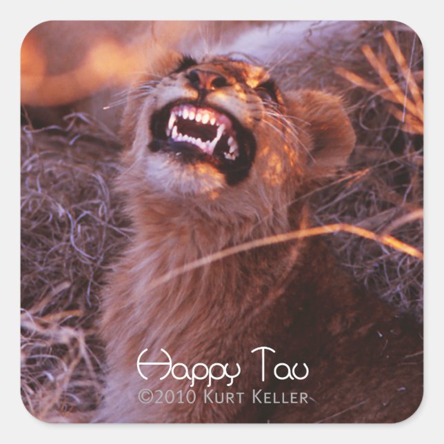 Sticker Carré Joyeux Tau (Devant)