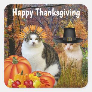 Sticker Carré Joyeux Thanksgiving Chats Mignons Citrouille