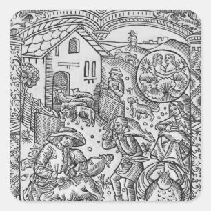 Sticker Carré Juin, tonte des moutons, Gemini