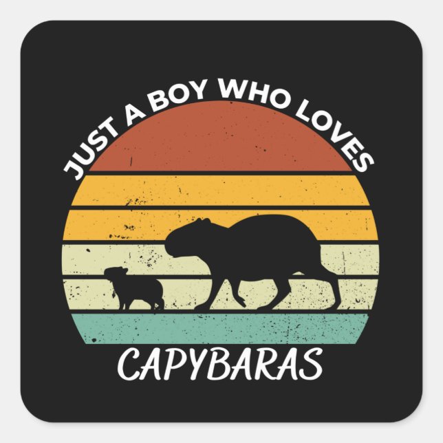 Sticker Carré Just a boy who loves capybaras (Devant)