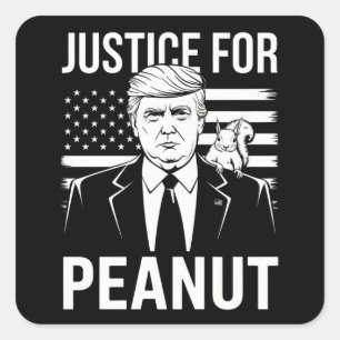 Sticker Carré Kamala Trump Élection de 2024 Je n'ai pas voté pou