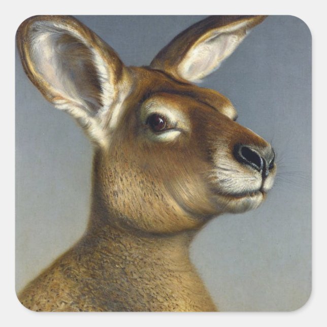 Sticker Carré Kangaroo (Devant)