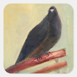 Sticker Carré Kaying Court Pigeon 2013