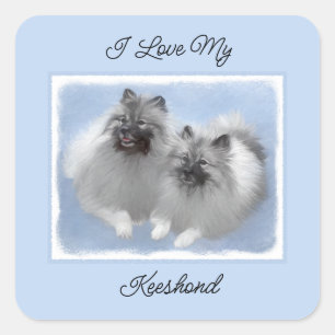 Sticker Carré Keeshond Paire de Kees Peinture Art animal origina