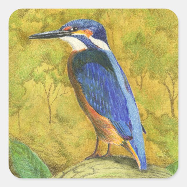 Sticker Carré Kingfisher (Devant)