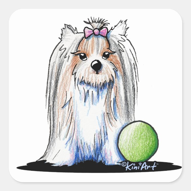 Sticker Carré KiniArt Biewer Yorkie Terrier (Devant)