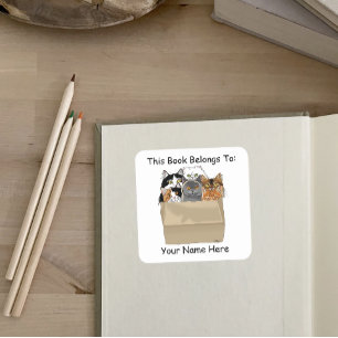 Sticker Carré Kit d'entrée pour dame de chat Plaque d'accueil