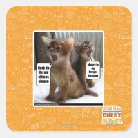 Kitteh carols