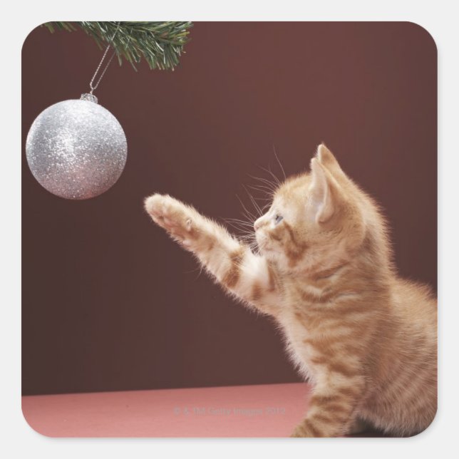 Sticker Carré Kitten jouant avec le bauble de Noël sur l'arbre (Devant)
