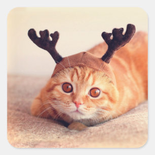 Sticker Carré kitten wearing a Christmas