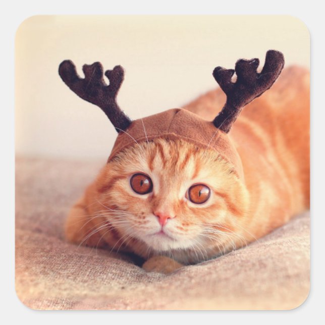 Sticker Carré kitten wearing a Christmas (Devant)
