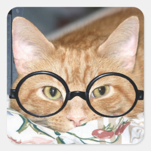 Sticker Carré Kitty avec lunettes