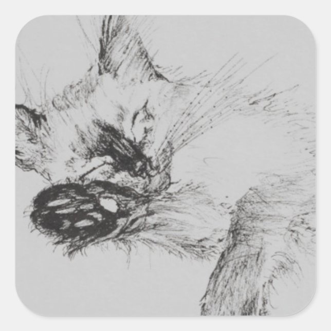 Sticker Carré Kitty 'Baby' (Devant)