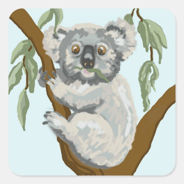 Sticker Carré Koala (Devant)