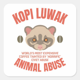 Sticker Carré Kopi Luwak Animal Abus - Luwak Coffee