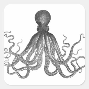 Sticker Carré Kraken - Octopus géant noir / Cthulu