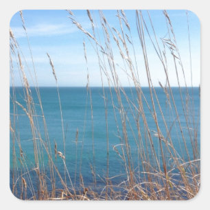 Sticker Carré La belle Herbe et Mer