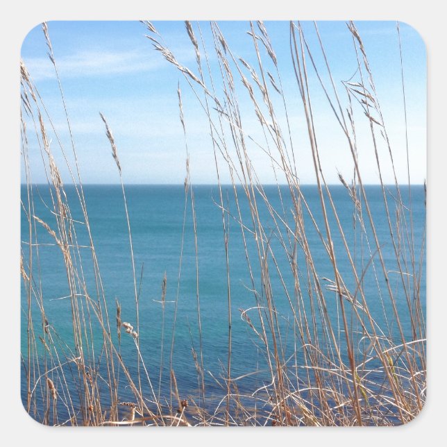 Sticker Carré La belle Herbe et Mer (Devant)