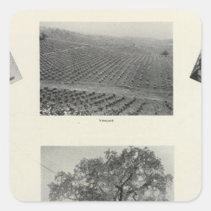 Sticker Carré La Californie 4