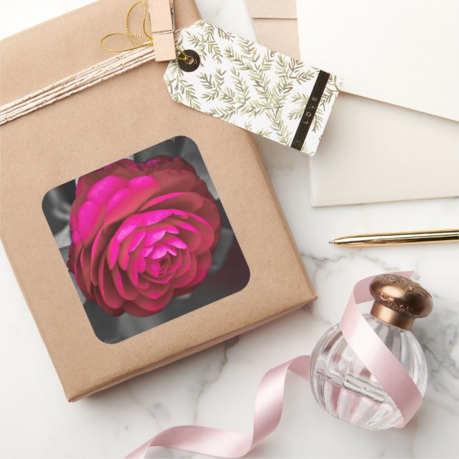 Sticker Carré La Camélia rose  (Cadeaux)