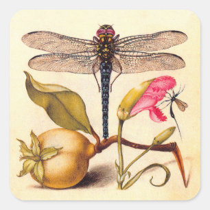 Sticker Carré La faune de la libellule