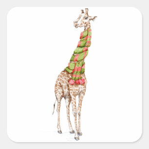 Sticker Carré La girafe dans une écharpe