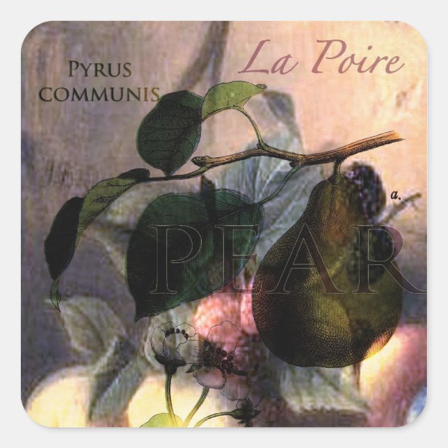 Sticker Carré La Poire #2 (Devant)