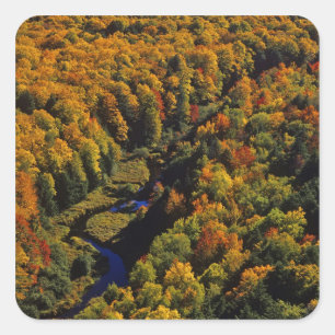 Sticker Carré La rivière Big Carp en automne à Porcupine