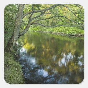 Sticker Carré La rivière Taunton à Bridgewater,