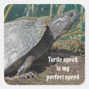 Sticker Carré La vitesse humoristique de la tortue est mon anima