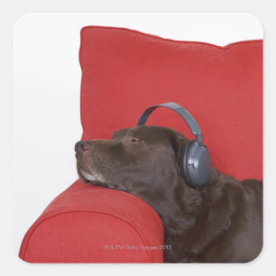 Sticker Carré Labrador portant un casque allongé sur un canapé