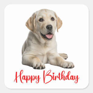 Sticker Carré Labrador Retriever Chien Jaune Chiots Anniversaire