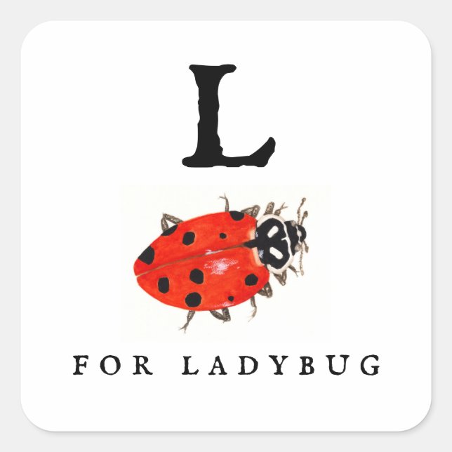 Sticker Carré Ladybug (Devant)