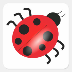 Sticker Carré Ladybug - Ladybird